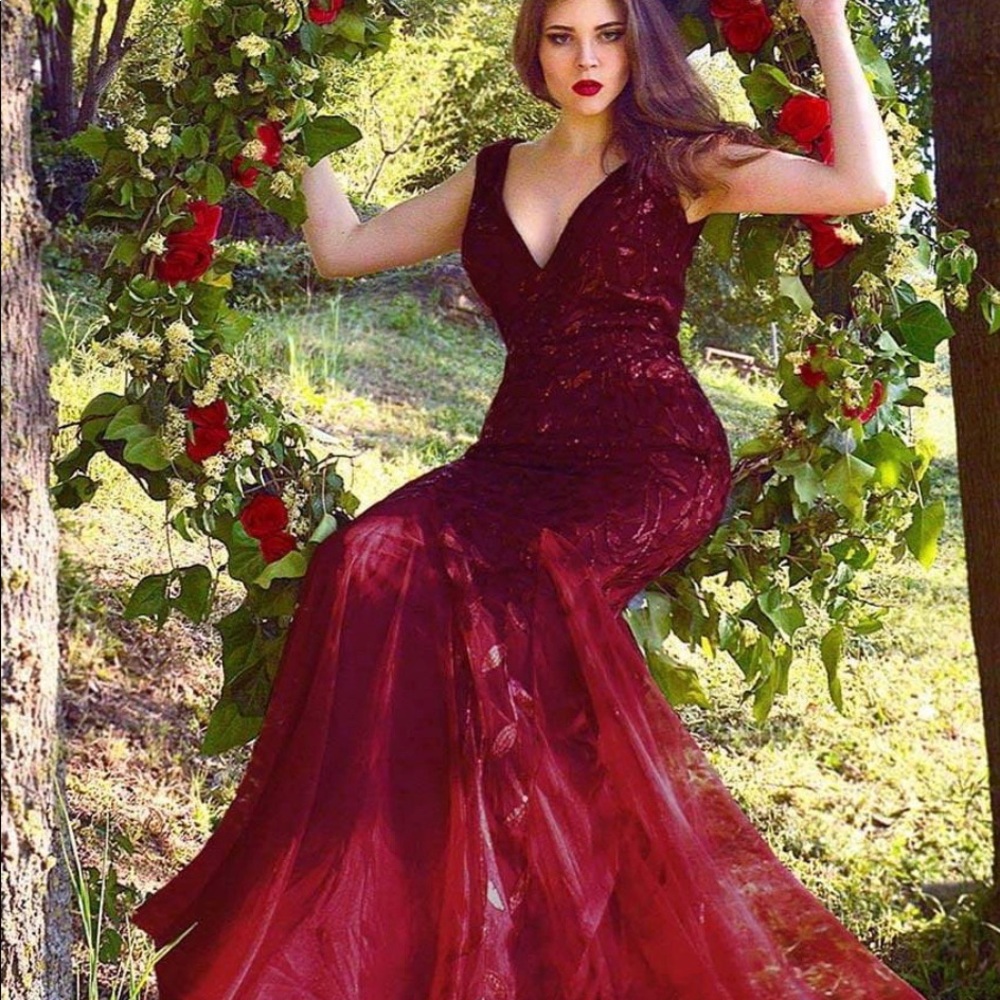 Red Sequin Tulle Dress Evening Gown 4